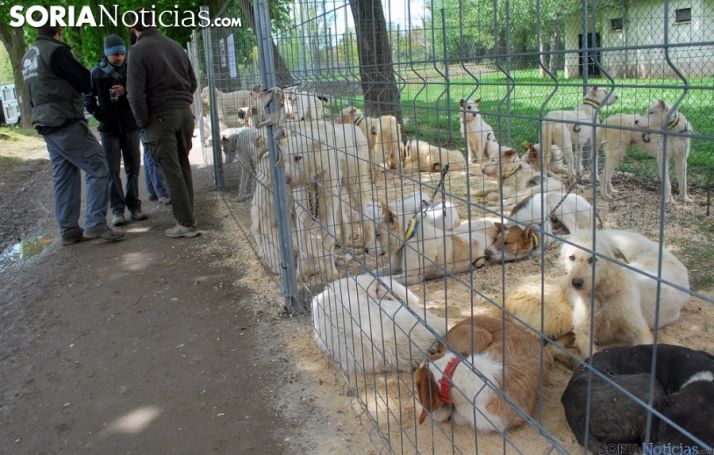 La RFEC y ARRECAL presentan alegaciones al proyecto de Real Decreto de ordenación de núcleos zoológicos