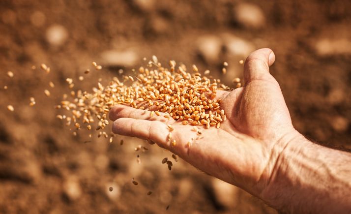 4.200 agricultores y ganaderos sorianos han solicitado el pago de la PAC para este 2020