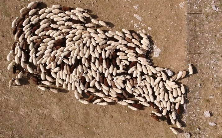 La expo ‘Trazados invisibles’, de Alberto Crespo, llega al Espacio Alameda este viernes