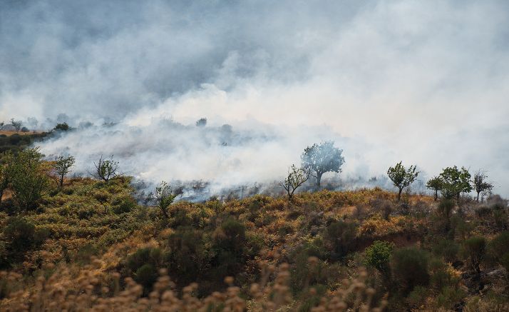 Alerta de incendios forestales el lunes por riesgo meteorológico en Salamanca, Zamora y Valladolid