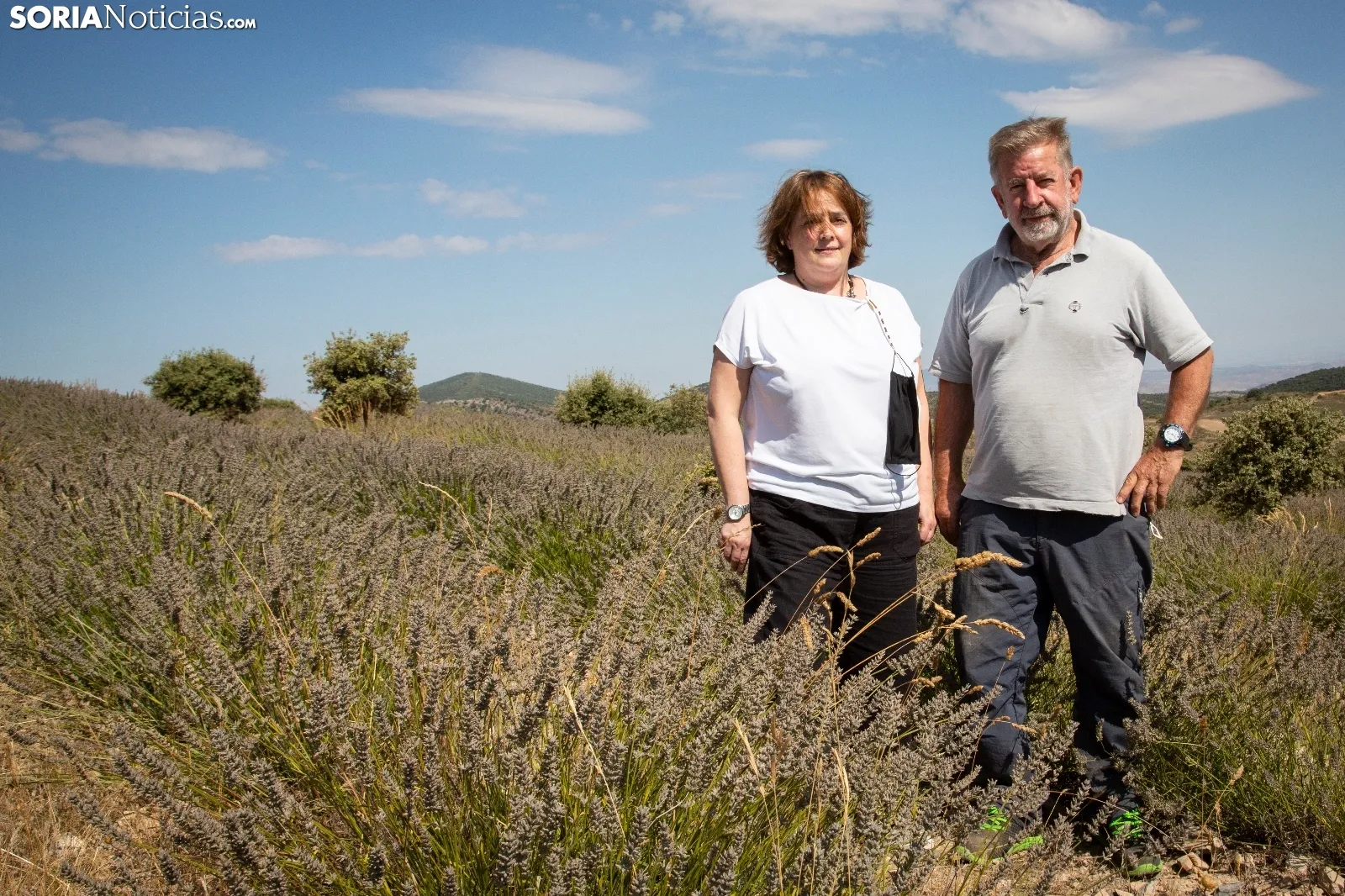 Virginia Re y Damián Navascués apostaron todo por la lavanda. /María Ferrer