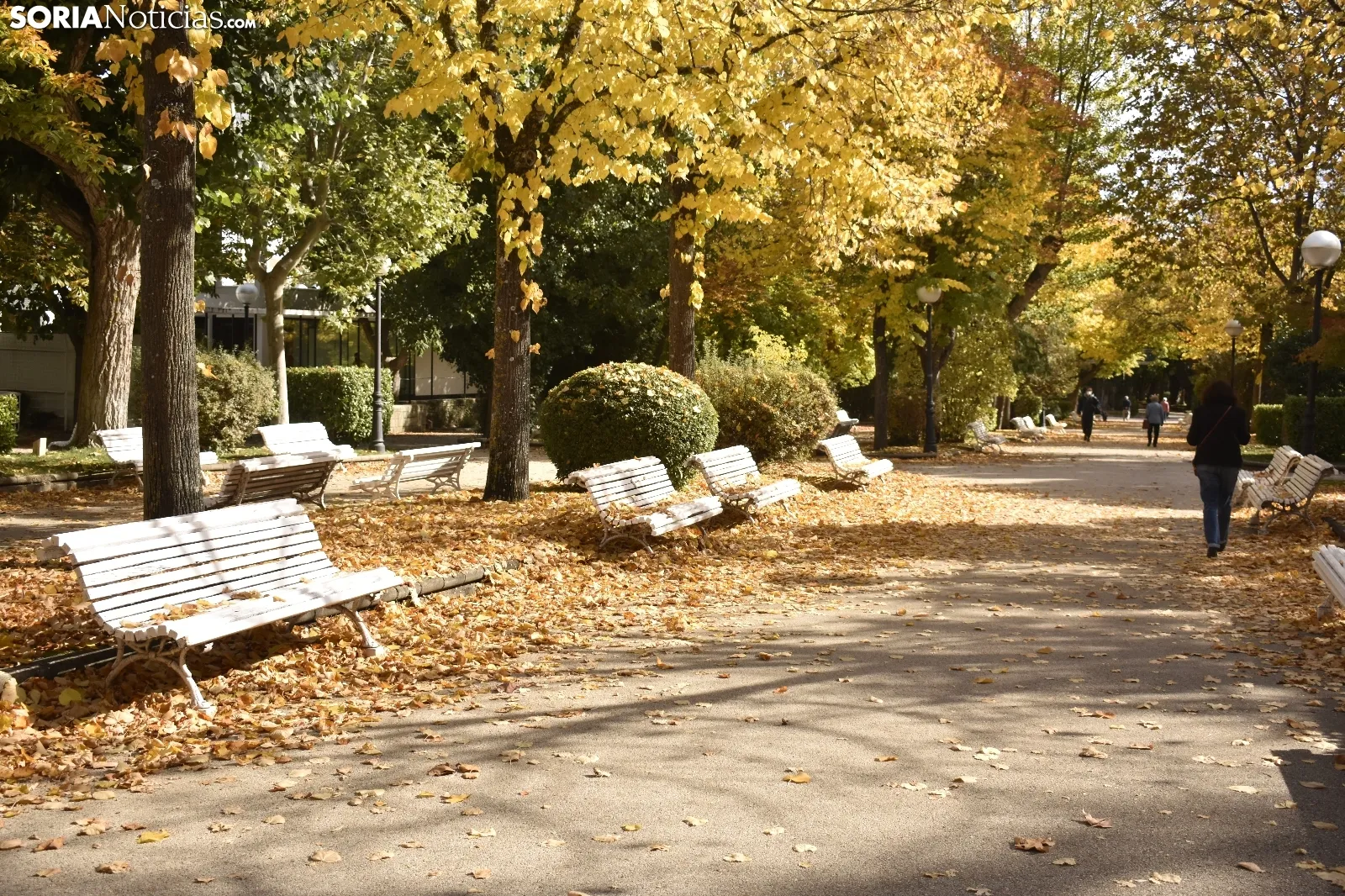 La Dehesa en otoño