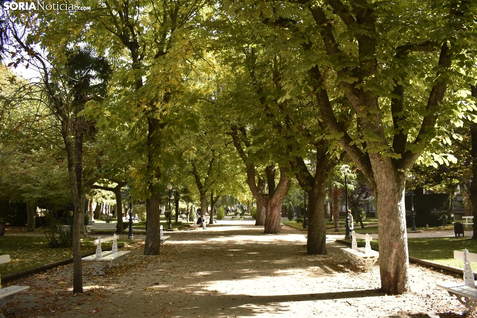 La Dehesa en otoño