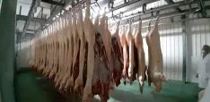 Proyectos financiados por ADEMA en Soria.