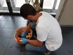 Lonja Micológica de Soria. 