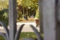La Dehesa en otoño