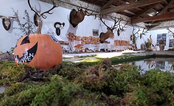 Una imagen de la muestra en San Andrés, localidad adscrita al municipio. 