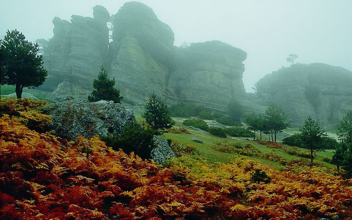 Desciende un 27% el número de viajeros en septiembre