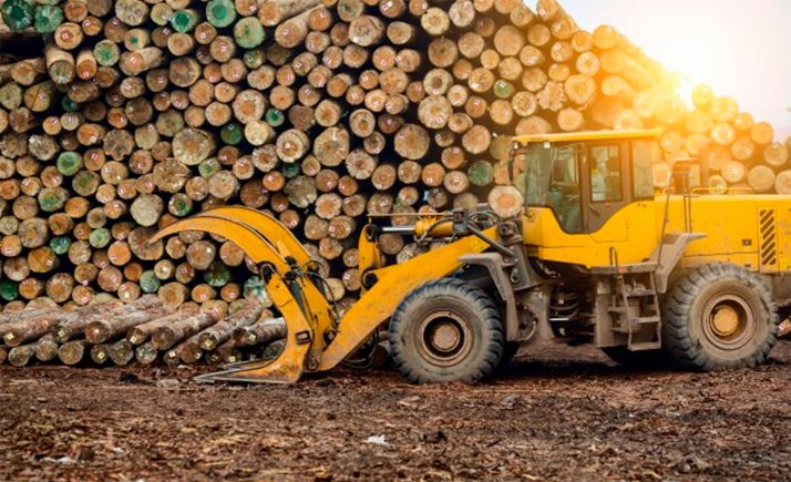 El Ayuntamiento licita más de 1M&euro; de aprovechamientos maderables y pastos