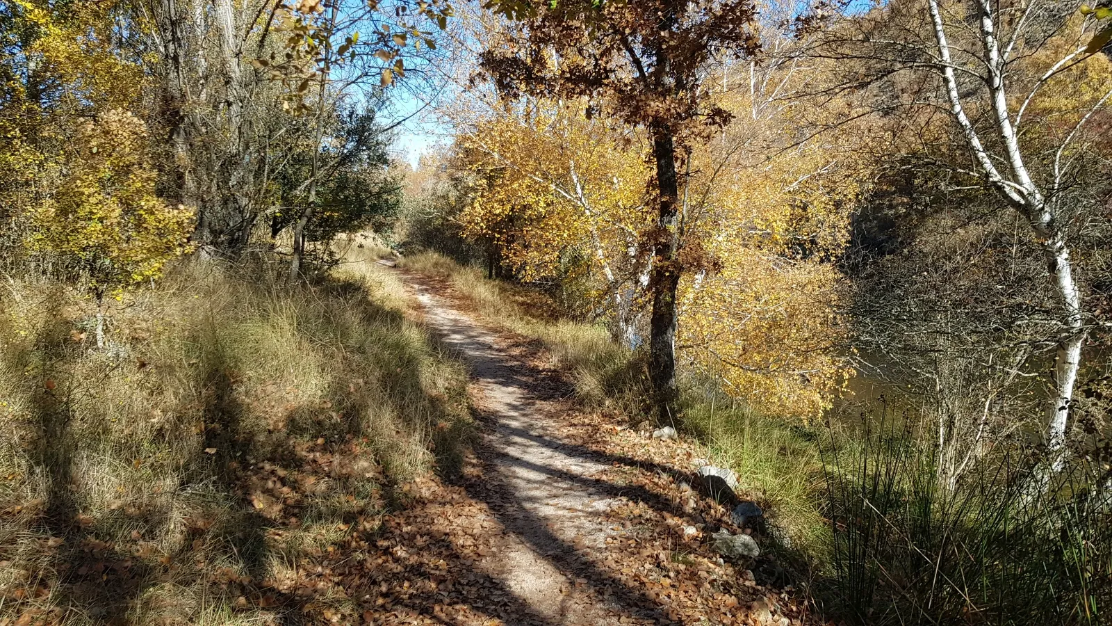 Foto 14 - Un paseo por las pasarelas del Duero en Soria, foto a foto