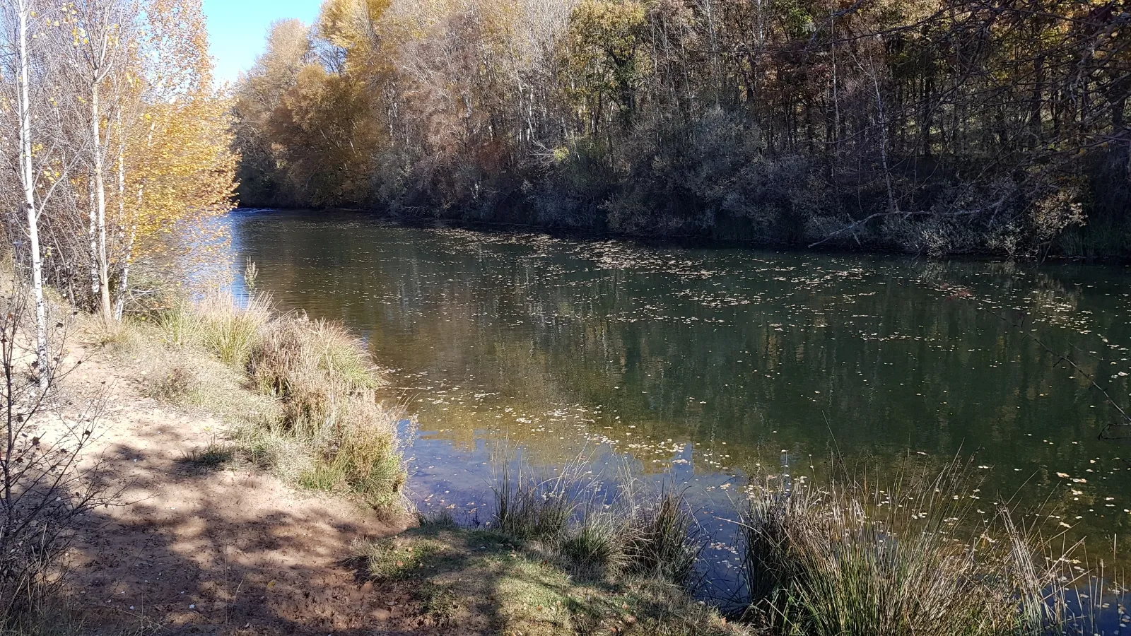 Foto 11 - Un paseo por las pasarelas del Duero en Soria, foto a foto