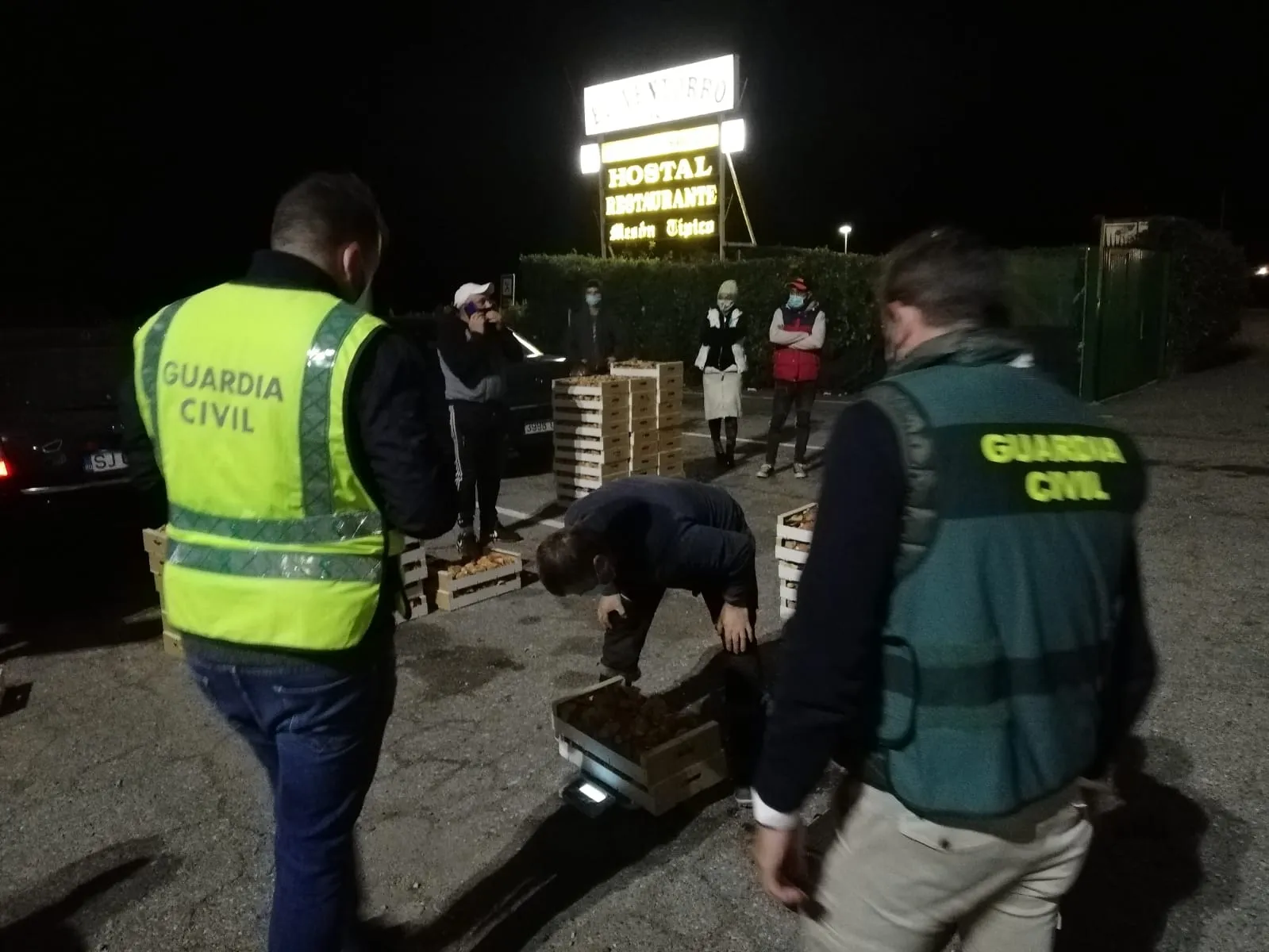 Foto 2 - Mercado negro de setas: Intervenidas 1,5 toneladas de n&iacute;scalos y denunciadas 2 empresas y 7 recolectores