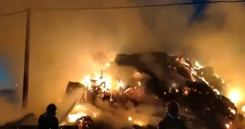 Foto 7 - Arde un pila alpacas en Borobia