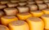 Foto 1 - Más de 70 prescriptores queseros en ‘El mejor cheesemonger de España’, promocionado por Tierra de Sabor