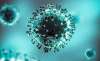 Foto 1 - Todo lo que la ciencia española sabe sobre el coronavirus