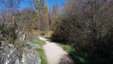 Foto 5 - Un paseo por las pasarelas del Duero en Soria, foto a foto
