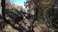 Foto 4 - Un paseo por las pasarelas del Duero en Soria, foto a foto