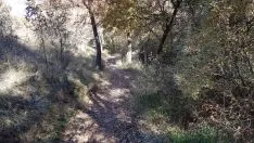 Foto 3 - Un paseo por las pasarelas del Duero en Soria, foto a foto