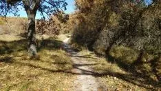 Foto 2 - Un paseo por las pasarelas del Duero en Soria, foto a foto