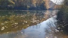 Foto 9 - Un paseo por las pasarelas del Duero en Soria, foto a foto
