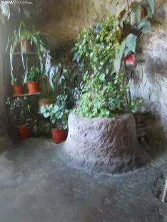 Foto 4 - La 'Casa de piedra' de Alcolea de Pinar o el tit&aacute;nico af&aacute;n de un soriano