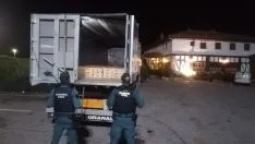 Foto 3 - Mercado negro de setas: Intervenidas 1,5 toneladas de n&iacute;scalos y denunciadas 2 empresas y 7 recolectores