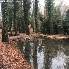 La toba en Fuentetoba