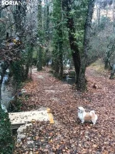 La toba en Fuentetoba