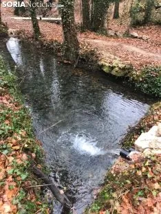 La toba en Fuentetoba
