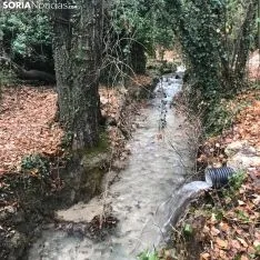 La toba en Fuentetoba