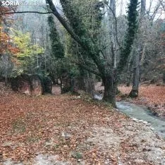 La toba en Fuentetoba