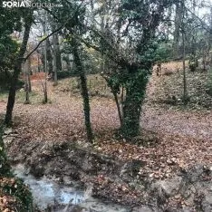 La toba en Fuentetoba