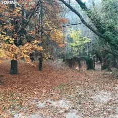 La toba en Fuentetoba