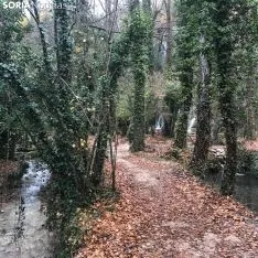 La toba en Fuentetoba
