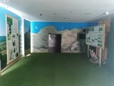 Acebal de Garagüeta.