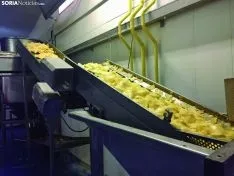 Foto 4 - Arte Fritas: pioneros y referentes en el mercado nacional