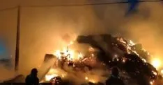 Foto 7 - Arde un pila alpacas en Borobia