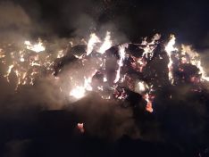 Foto 6 - Arde un pila alpacas en Borobia