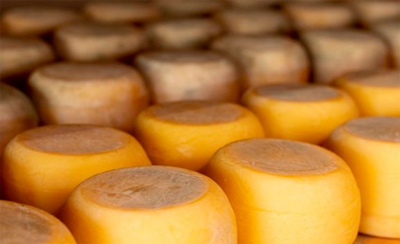 Más de 70 prescriptores queseros en ‘El mejor cheesemonger de España’, promocionado por Tierra de Sabor