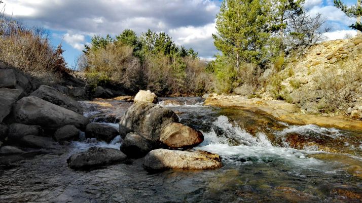 La Asociación de Pesca Pinares se moviliza por un Duero más limpio