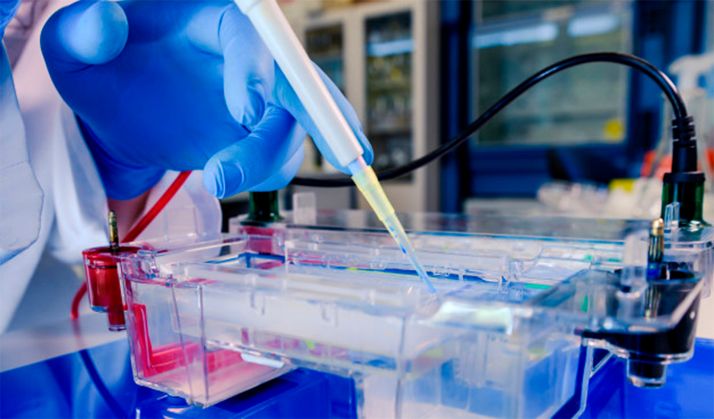 Más de 233.000 euros para dar visibilidad a las investigaciones científicas desarrolladas en la región