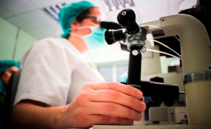 Convocatoria regional de 20 M&euro; para proyectos de investigación, la más cuantiosa tras transferir las competencias a las autonomías