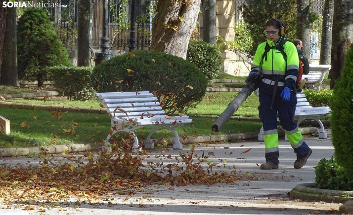 La jardinería protagoniza una nueva edición del AFE Duques de Soria