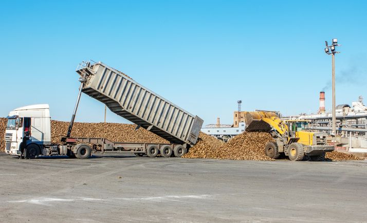 Unidad en el sector agroalimentario en defensa del azúcar y la remolacha de la Comunidad	