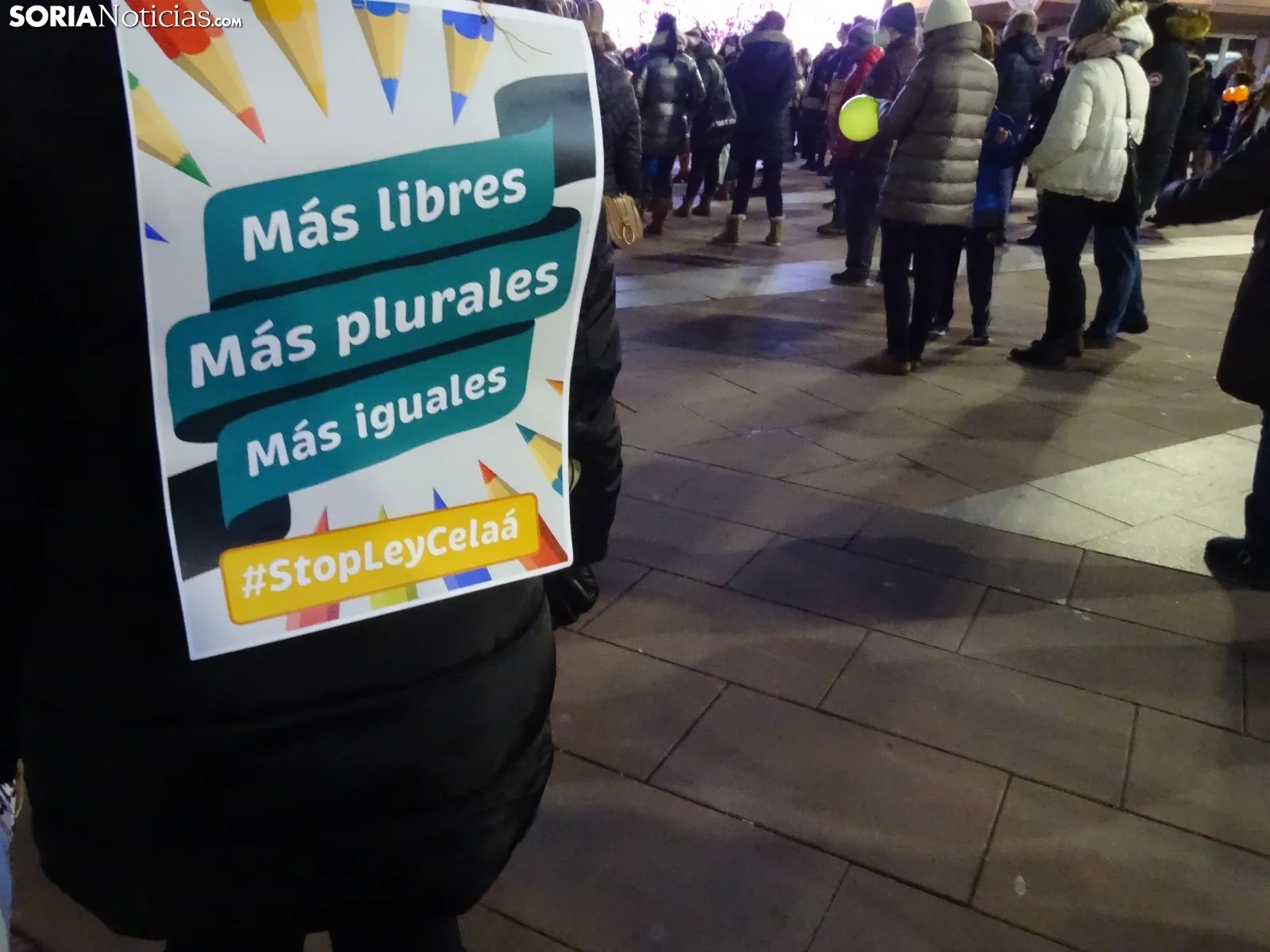 Una de las imágenes de la concentración de esta tarde. /SN