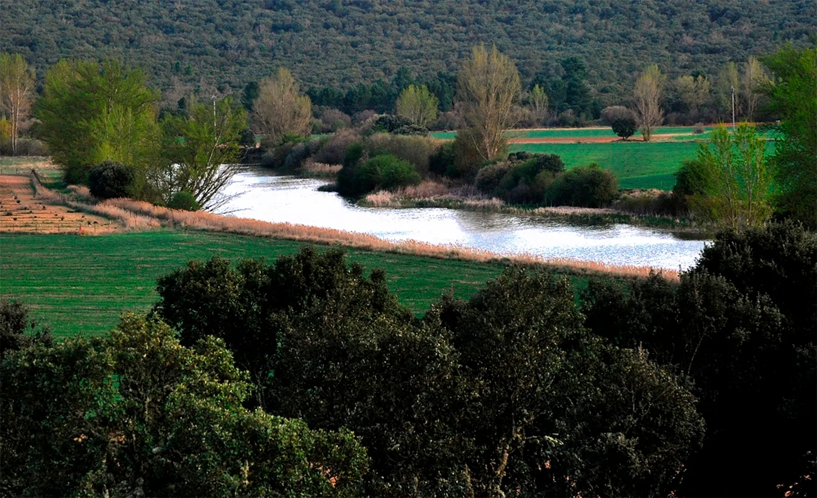 Imagen del Duero a su paso por las inmediaciones de la capital. /SN