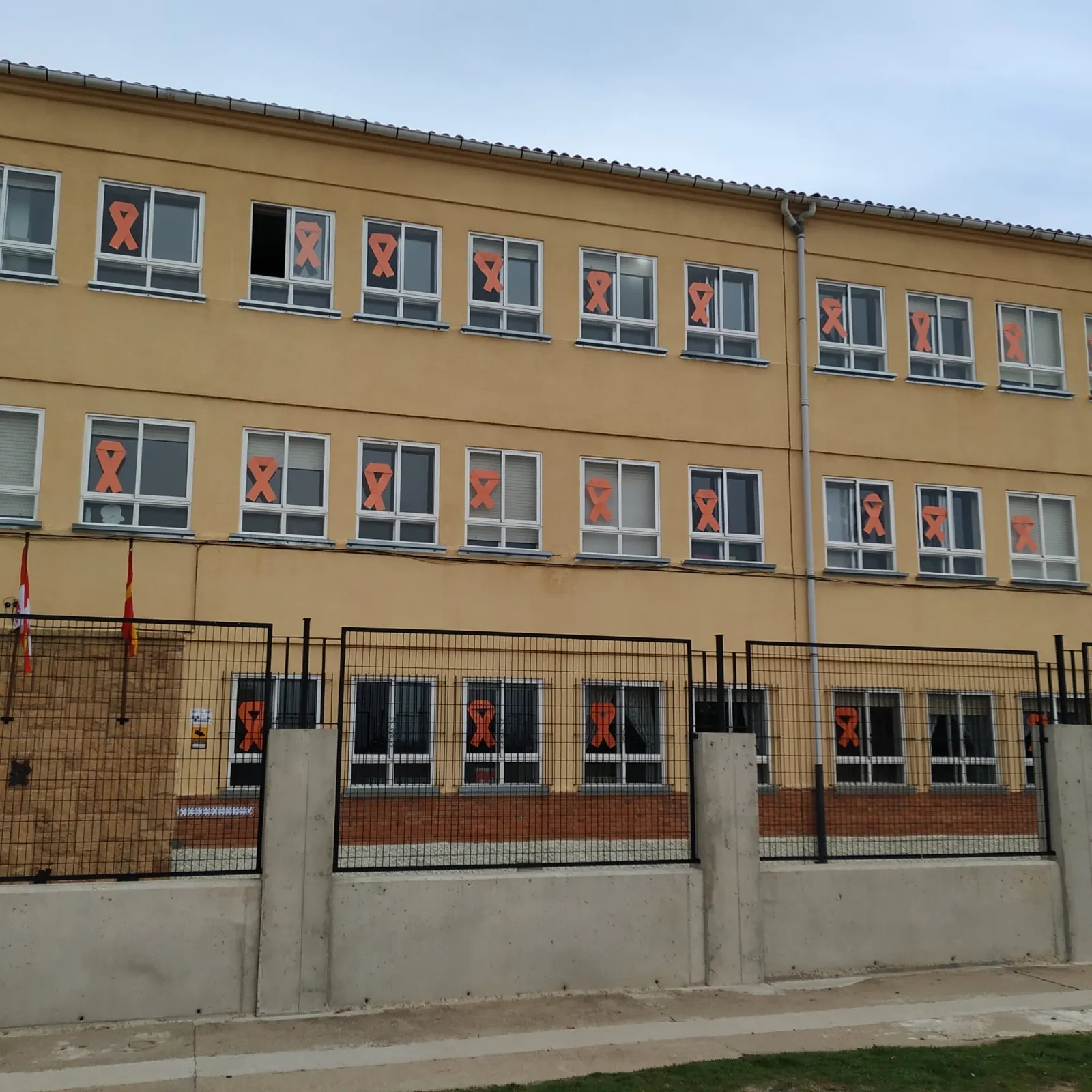 Una imagen de los distintos actos llevados a cabo en los colegios de la concertada en capital y provincia. 