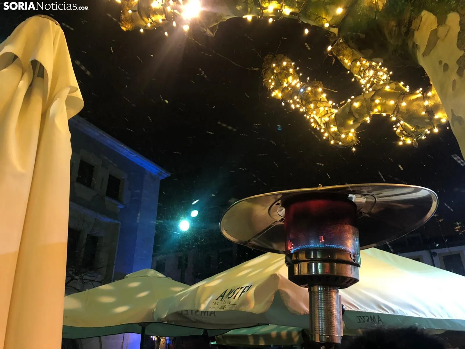 Cañas bajo la nieve en Soria. SN