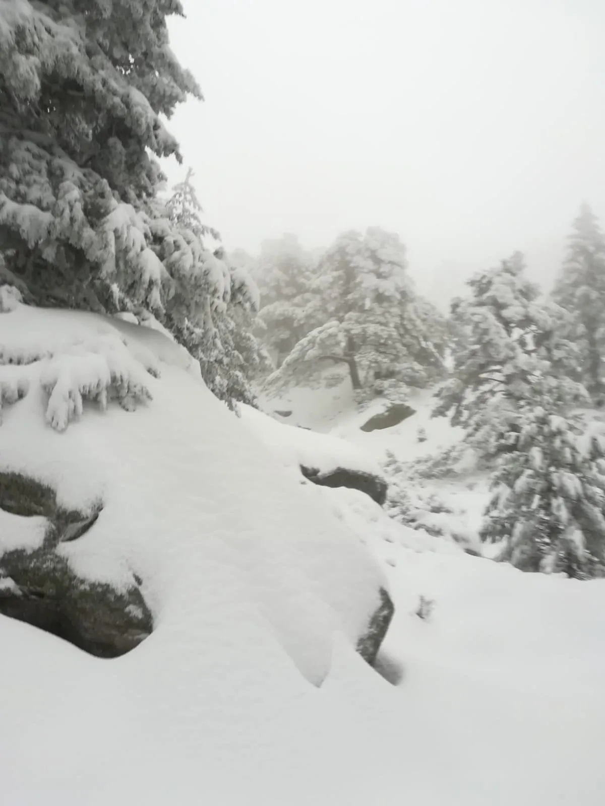 Nevada en el Urbión. /Agustín Sandoval.