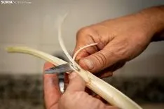 Cardo rojo de Ágreda. /María Ferrer